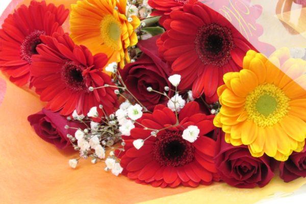 おまかせの色のガーベラと薔薇とかすみ草の花束 Flowerexpress Com おまかせの色のガーベラと薔薇とかすみ草の花束 Flowerexpress Com