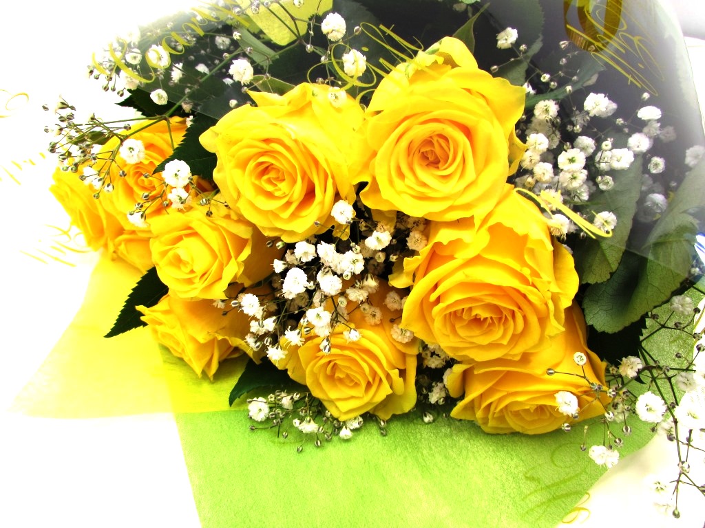 ELECTRIC YELLOW-黄色い薔薇とかすみ草の長い花束