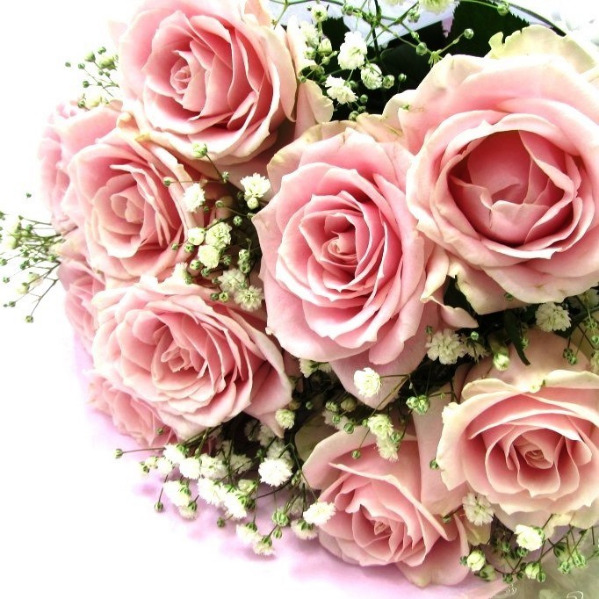 ピンク系薔薇とかすみ草の花束