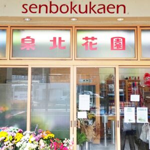 南海泉北線、泉ヶ丘駅を降りてすぐです。